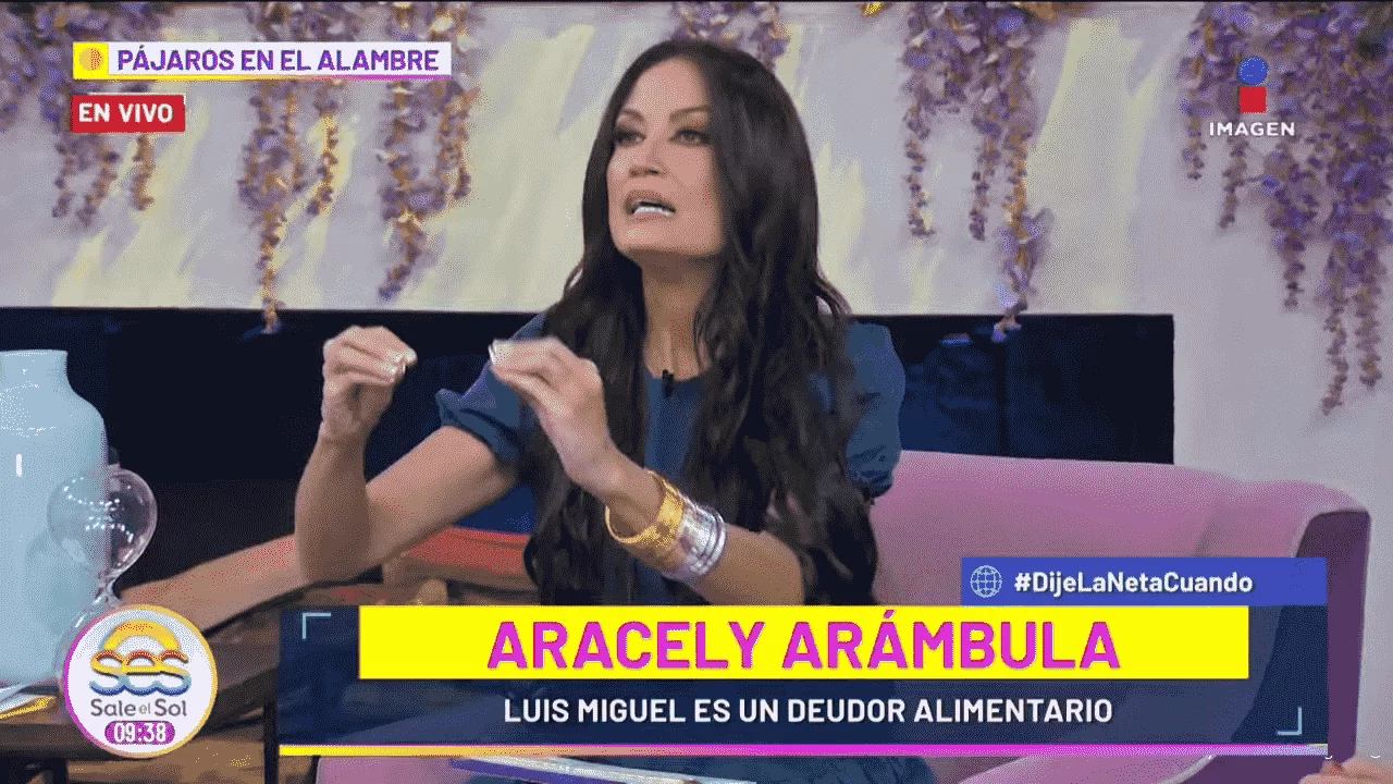 Приятный сюрприз для поклонников творчества Арасели Арамбула