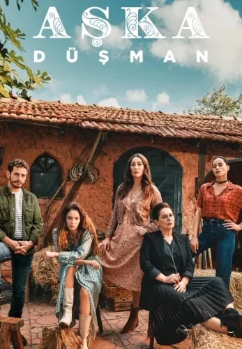 Враг любви (2024) постер