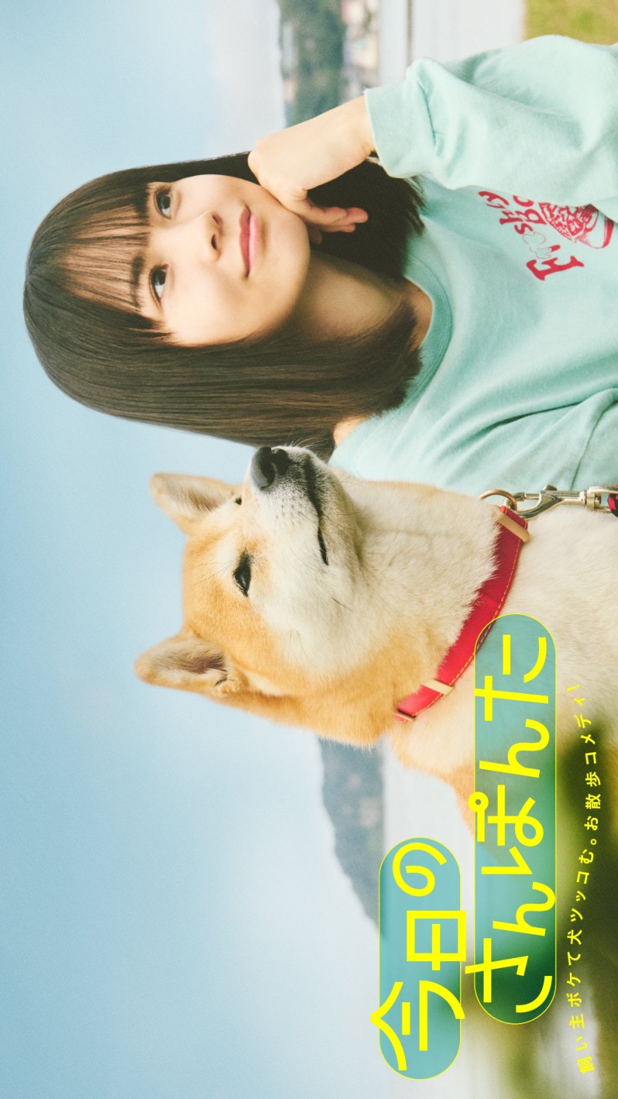 Сегодняшняя прогулка с Понтой (2025) постер