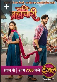 Муж брахмачари (2025) постер