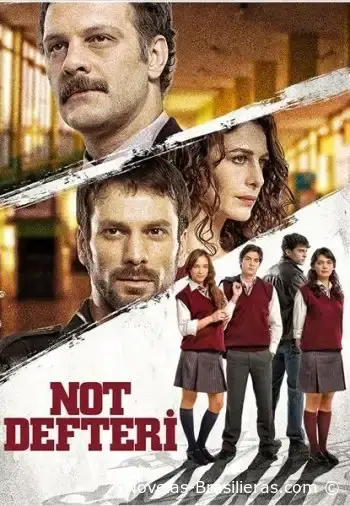 Дневники памяти (2014) постер