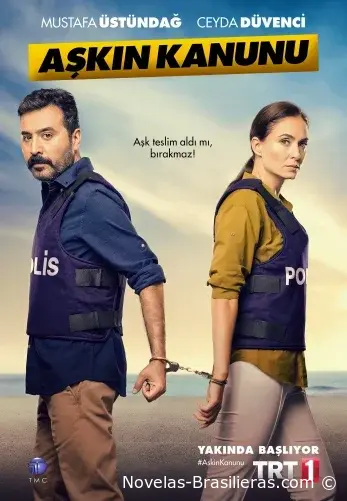 Закон любви (2014) постер