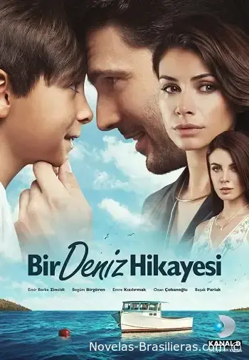 История Дениза (2015) постер