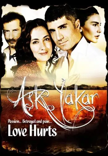 Любовь сжигает (2008) постер