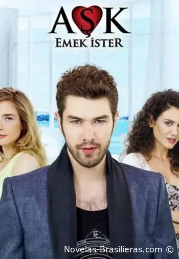 Любовь требует усилий (2013) постер